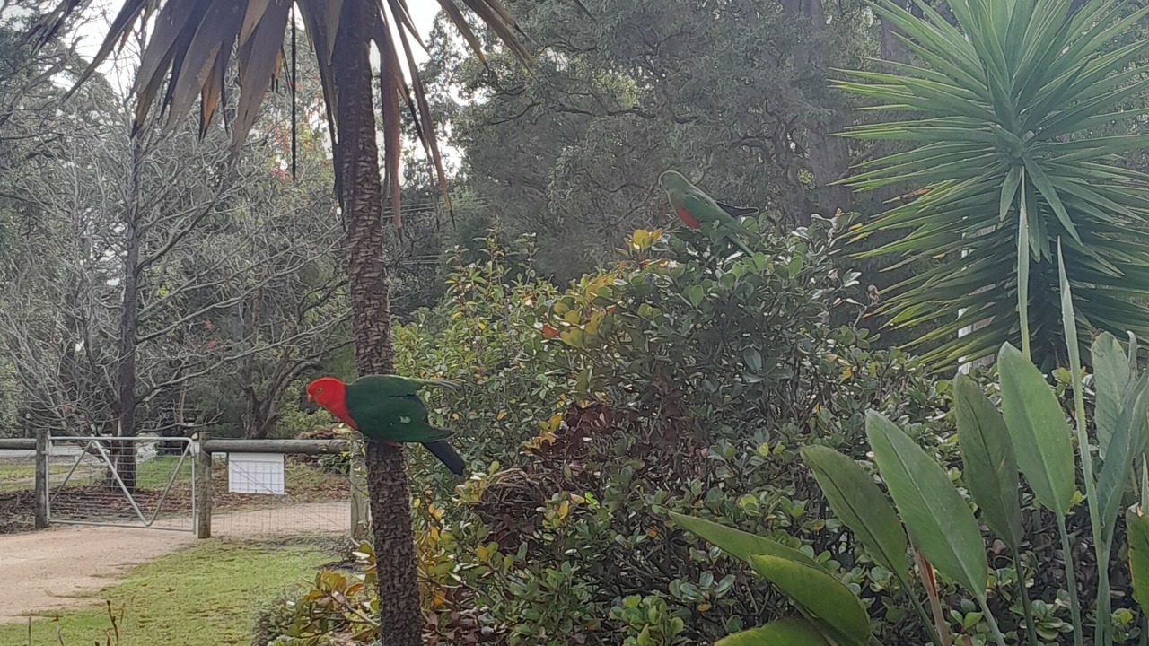 Photo of Outdoor in Mallacoota