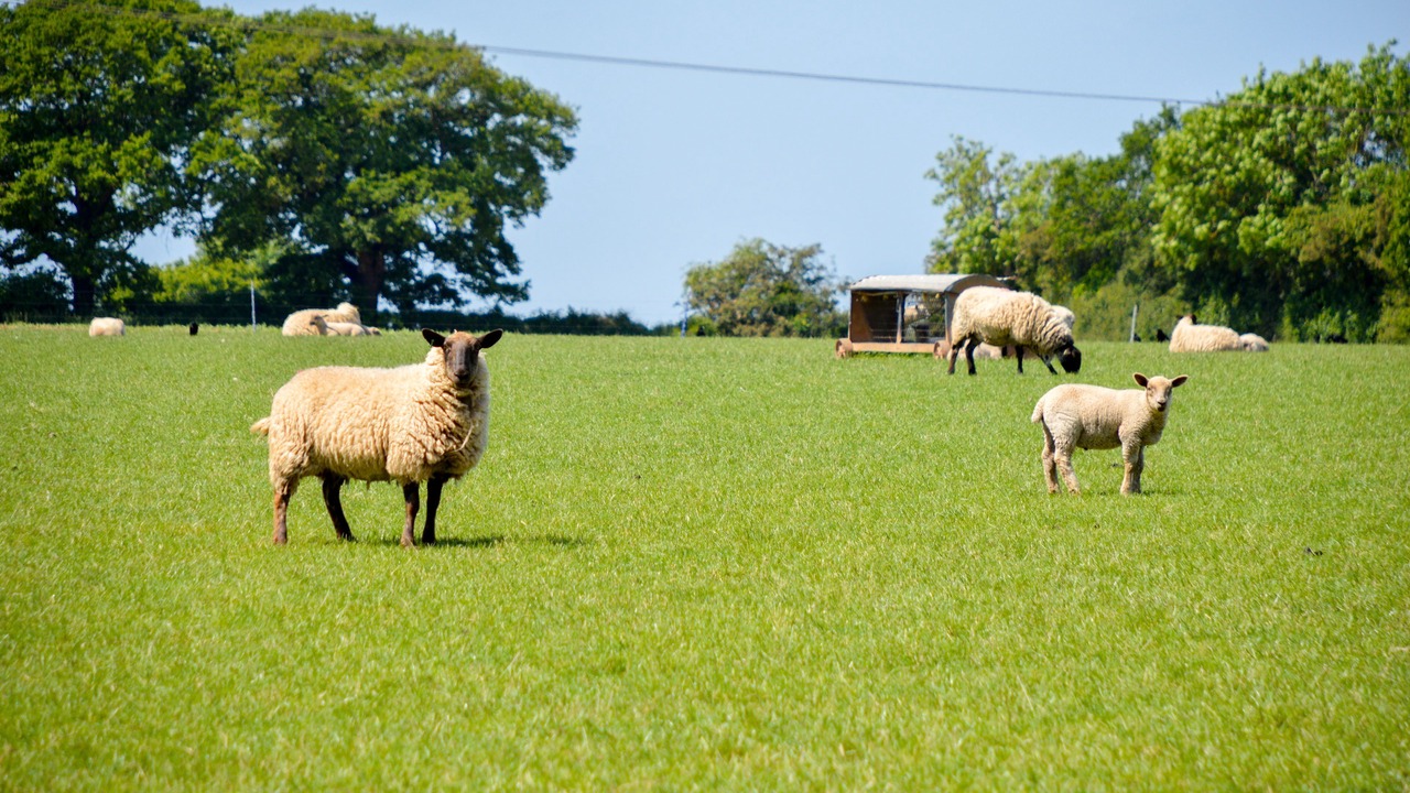 Photo of Others in Harvington