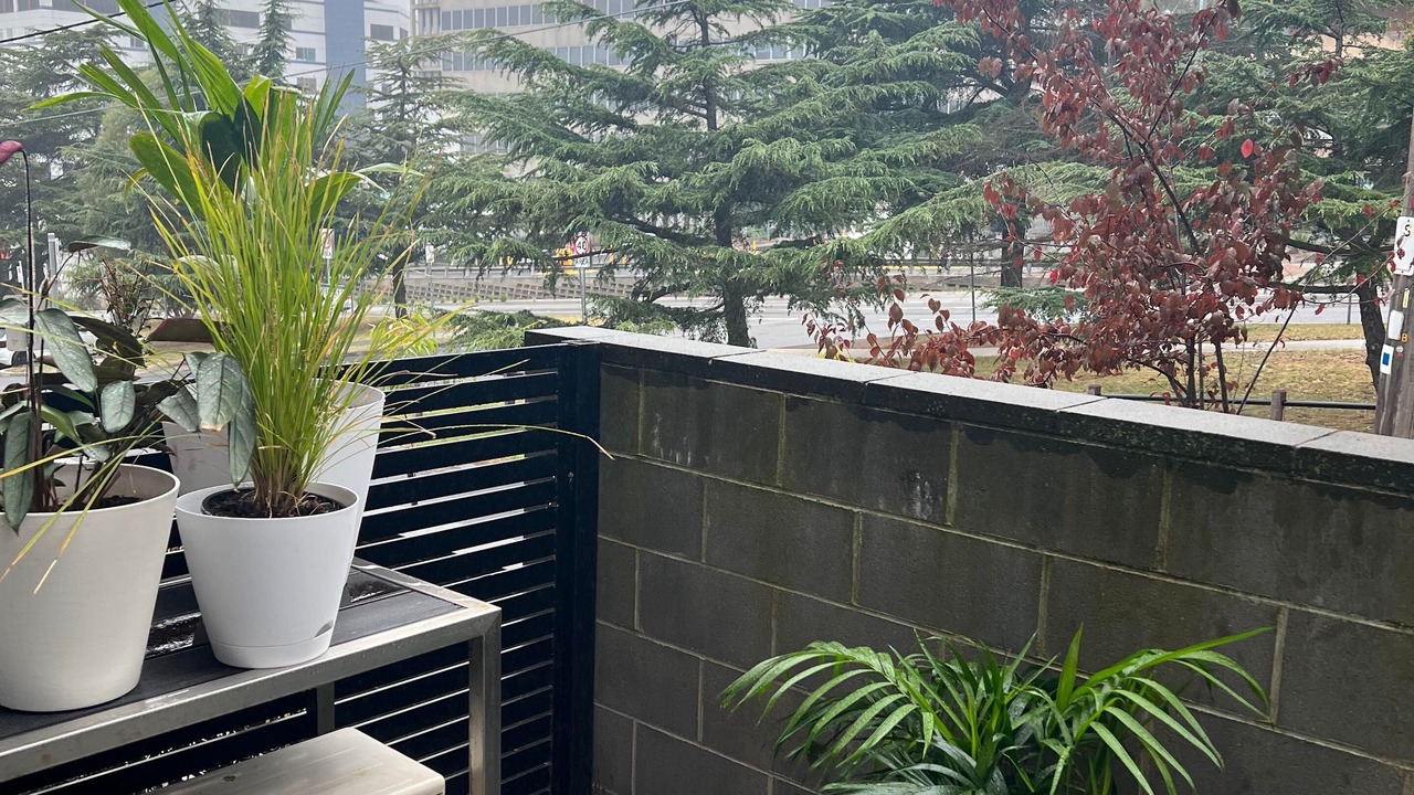 Photo of Outdoor in Heidelberg