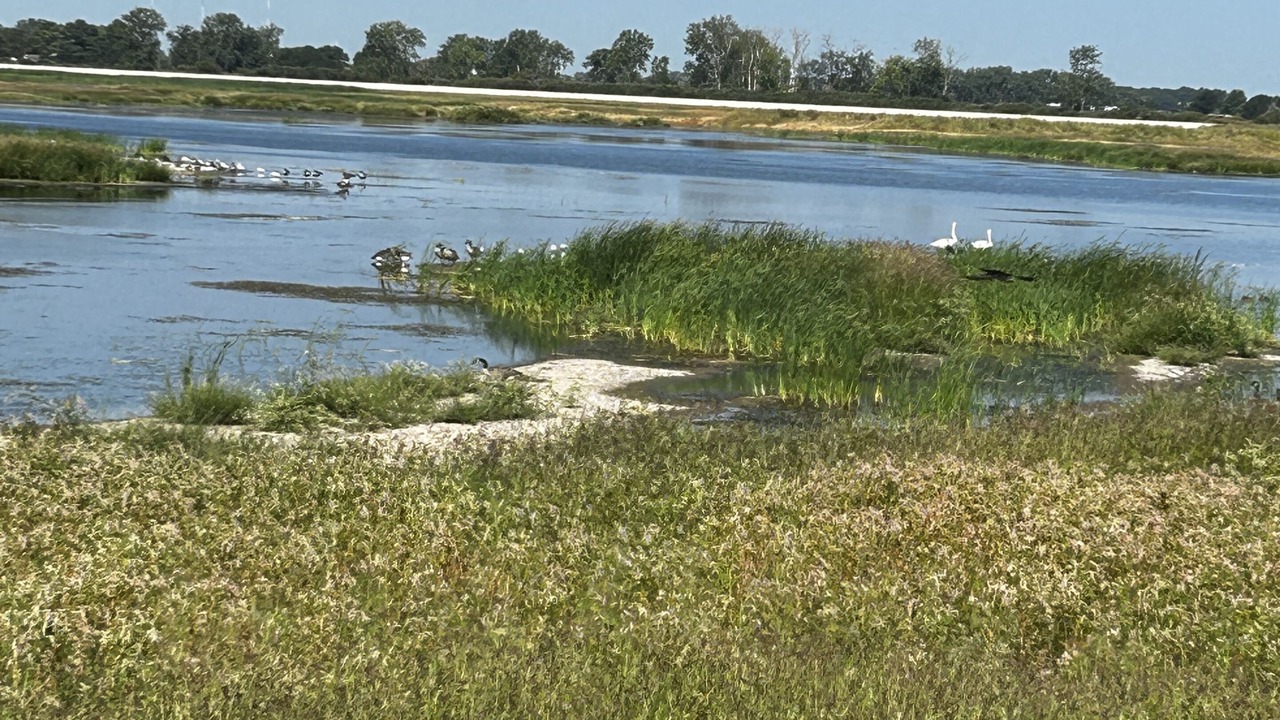 Photo of Others in Williston