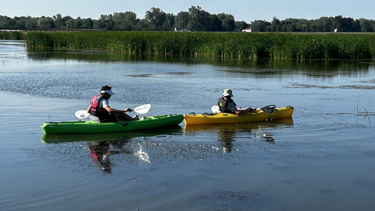 Photo of Others in Williston