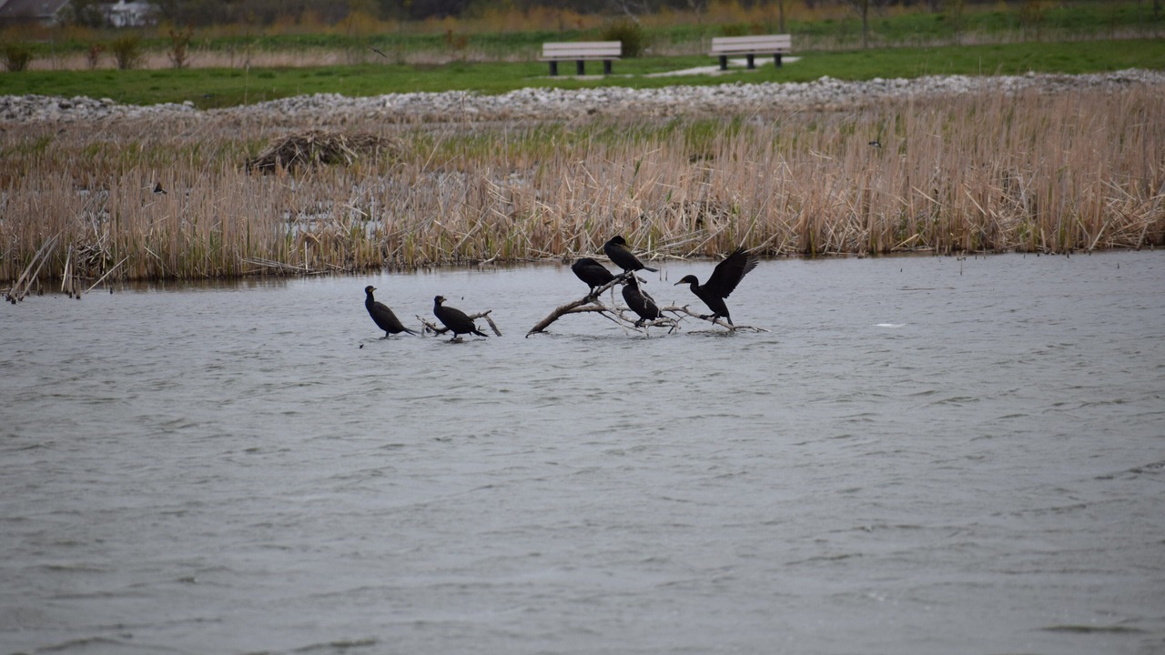 Photo of Outdoor in Williston