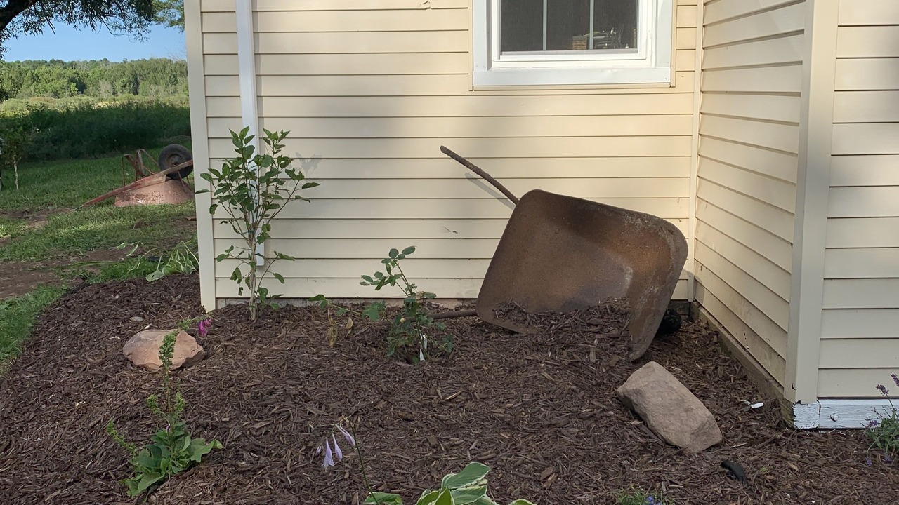 Photo of Outdoor in Delta County