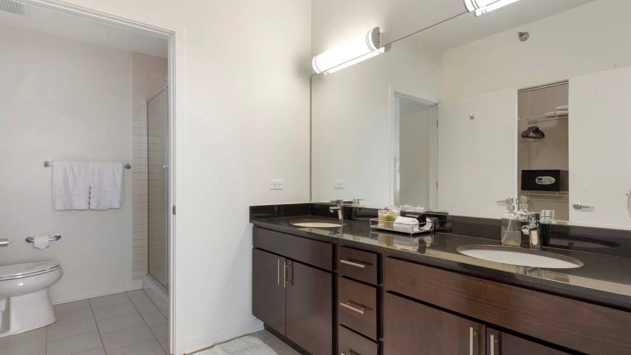 Photo of Bathroom in Downtown Chicago