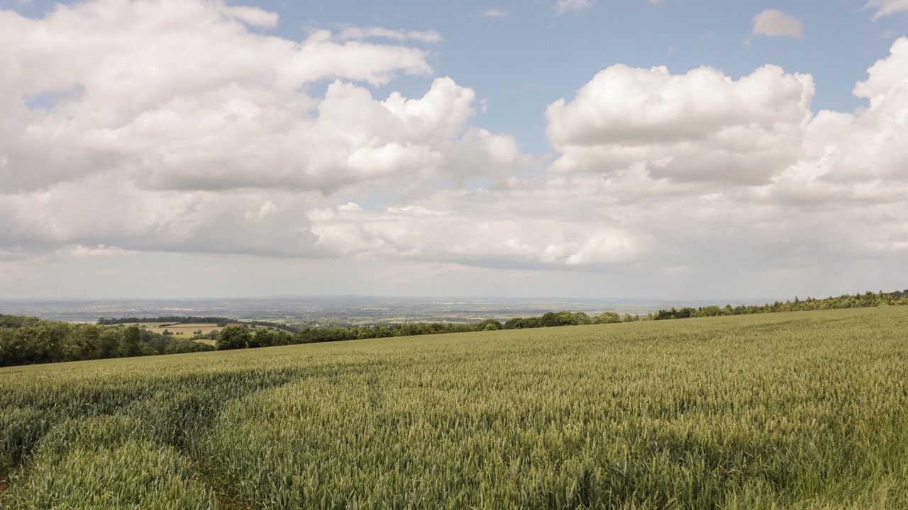 Photo of Others in Sedgeberrow