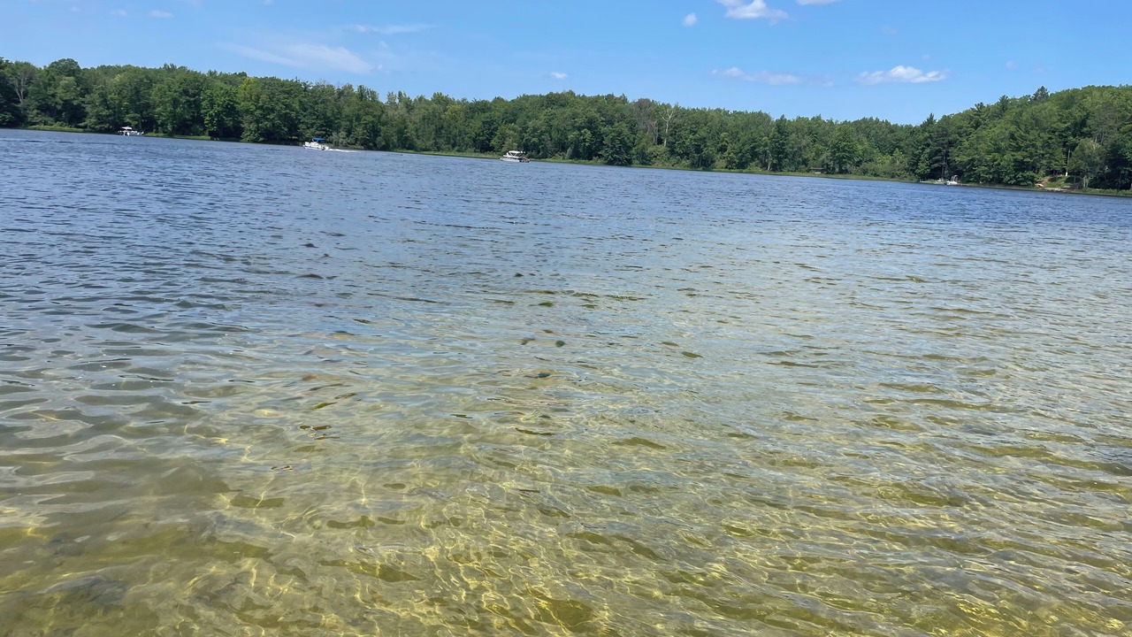 Photo of Others in Curtis Township