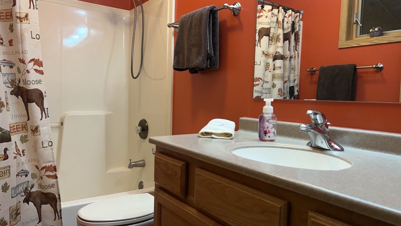 Photo of Bathroom in Michigan City