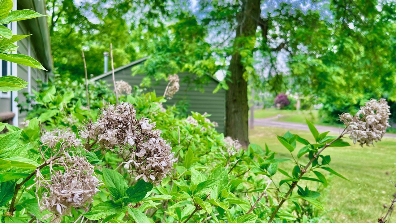 Photo of Outdoor in Milford