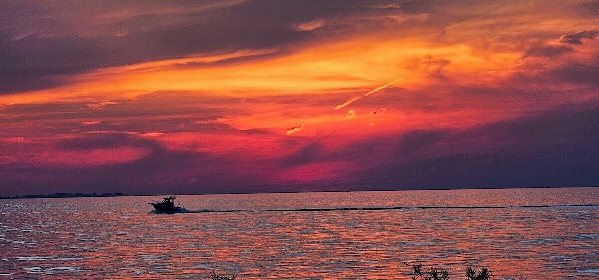 Photo of Others in Oak Harbor