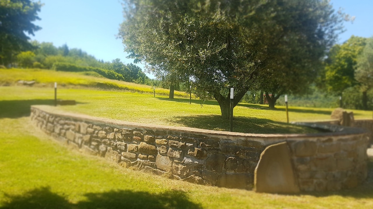 Photo of Outdoor in Monteluiano