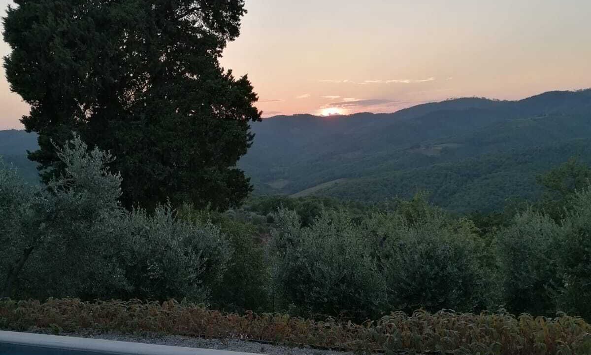 Photo of Outdoor in Monte Benichi