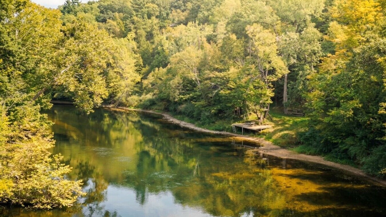 Photo of Others in Grant