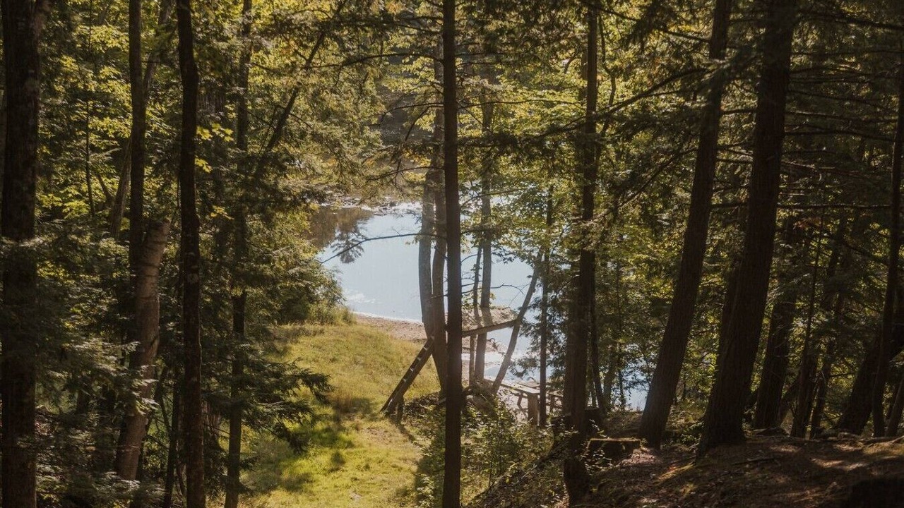 Photo of Others in Grant