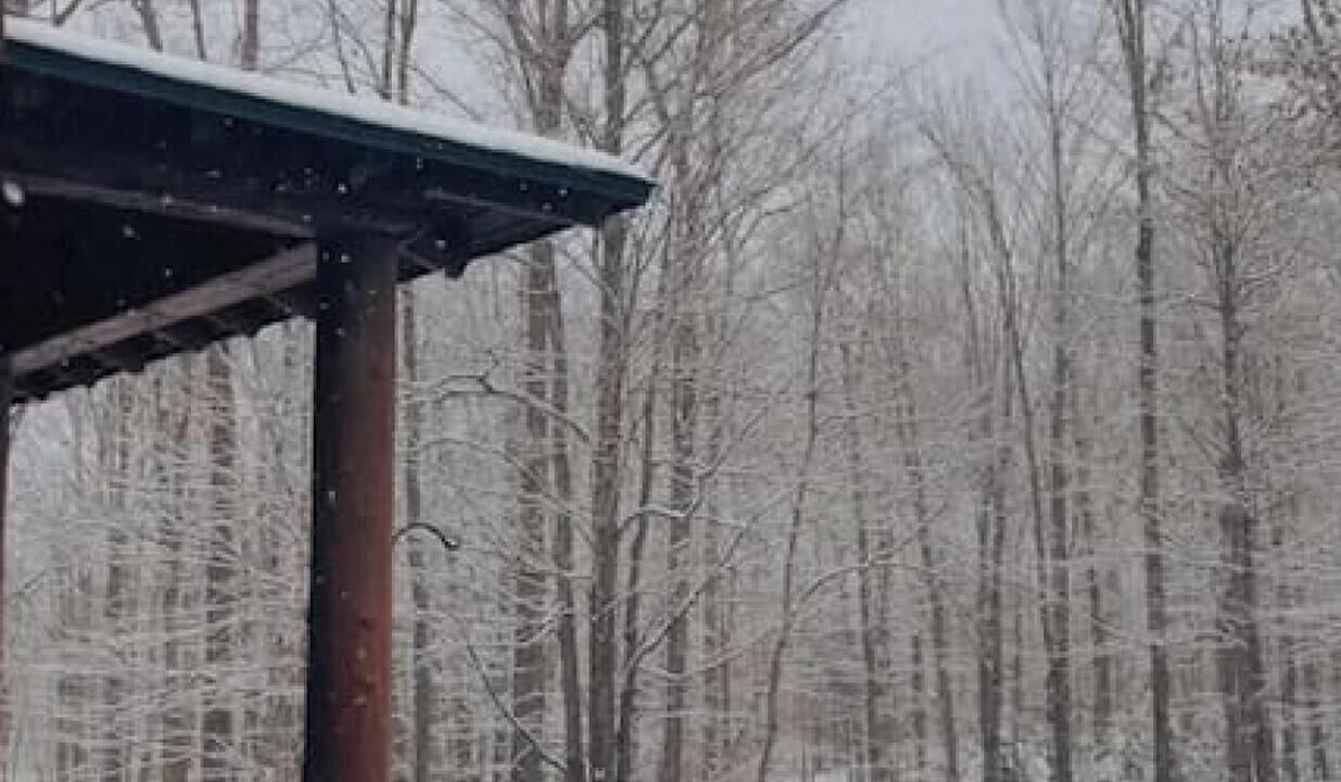 Photo of Outdoor in Grant