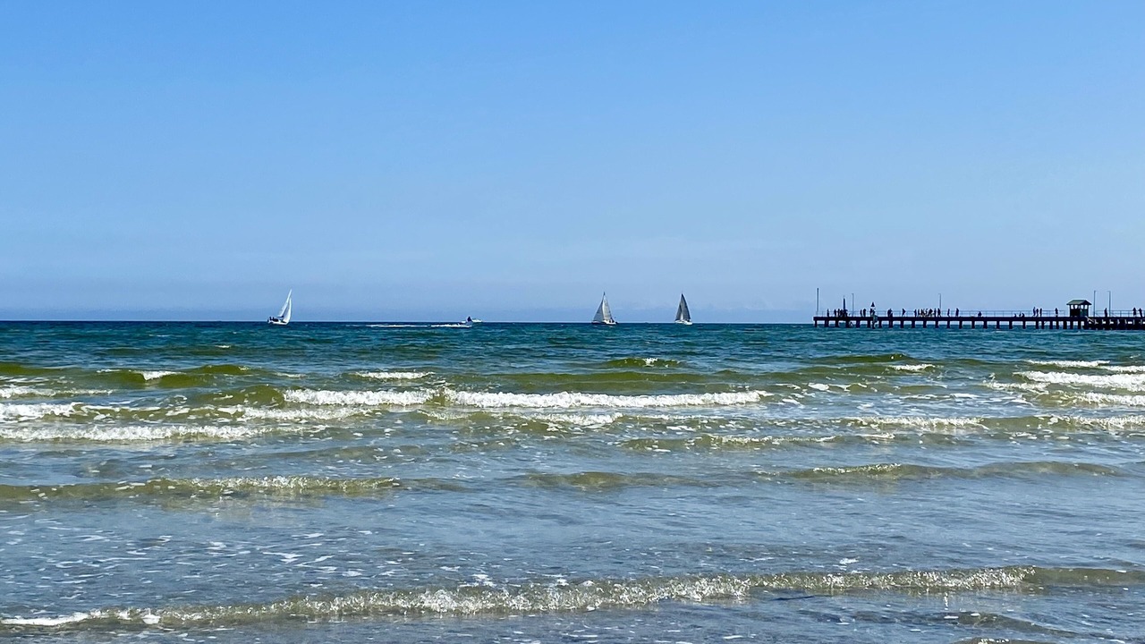 Photo of Others in Mordialloc