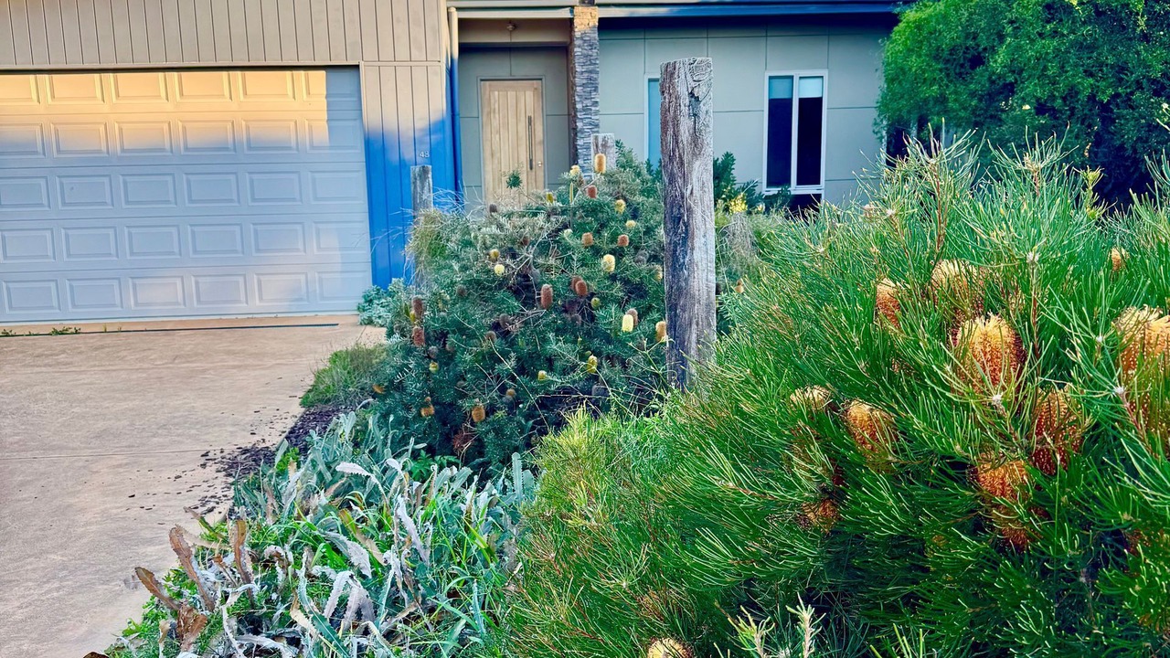 Photo of Outdoor in Cape Paterson