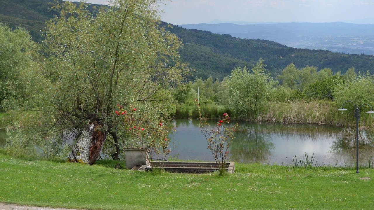Photo of Outdoor in Castelfranco di Sopra