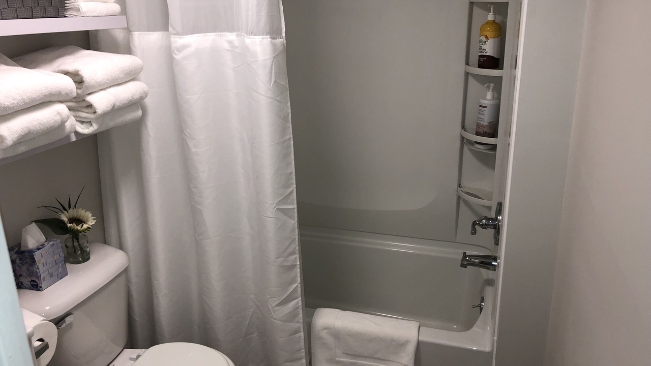 Photo of Bathroom in Higgins Lake