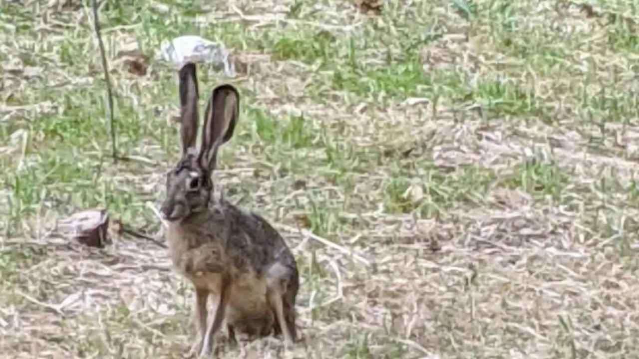 Photo of Outdoor in Groveland