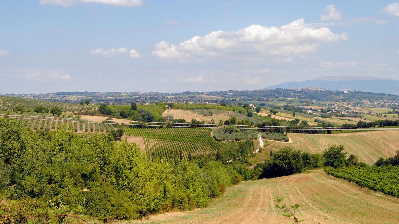 Photo of Others in Gualdo Cattaneo