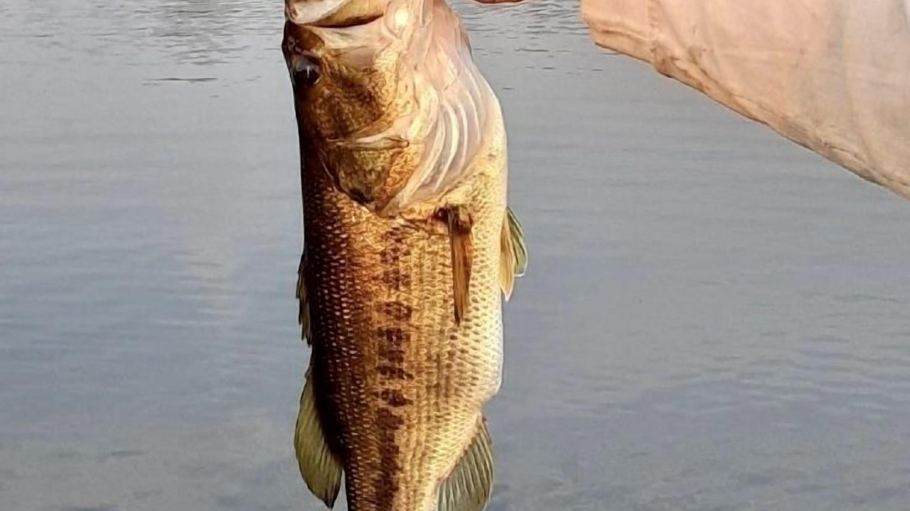 Photo of Others in Howell