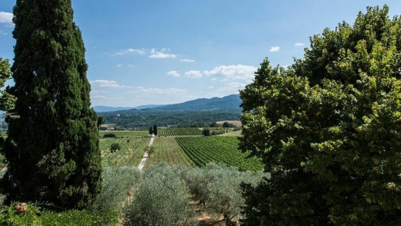 Photo of Outdoor in Rignano sull'Arno