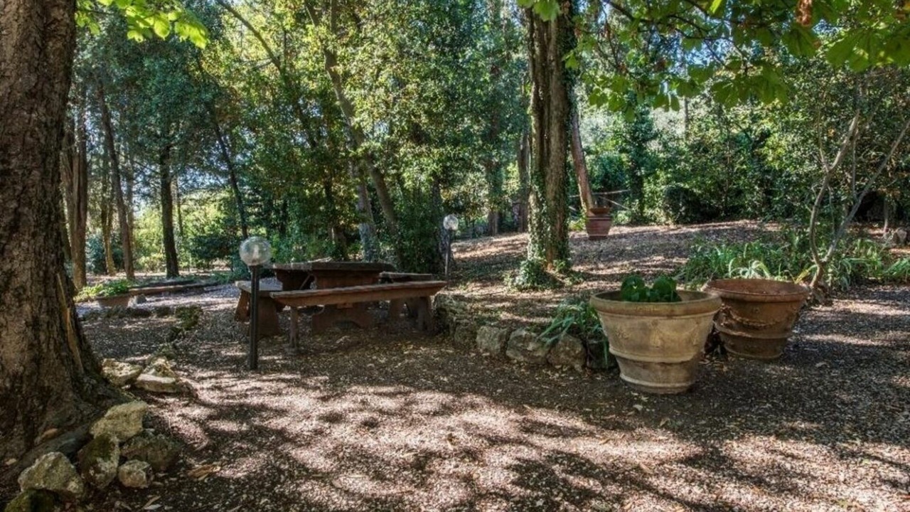 Photo of Outdoor in Rignano sull'Arno