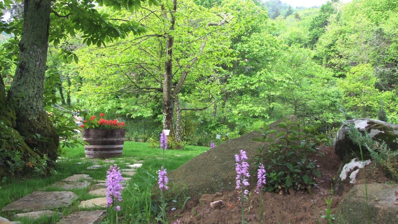 Photo of Outdoor in Val Canina