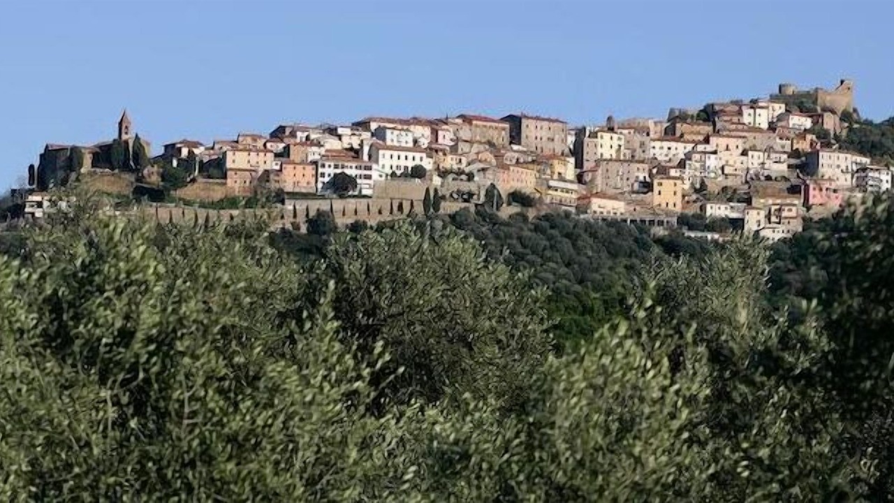 Photo of Others in Scarlino