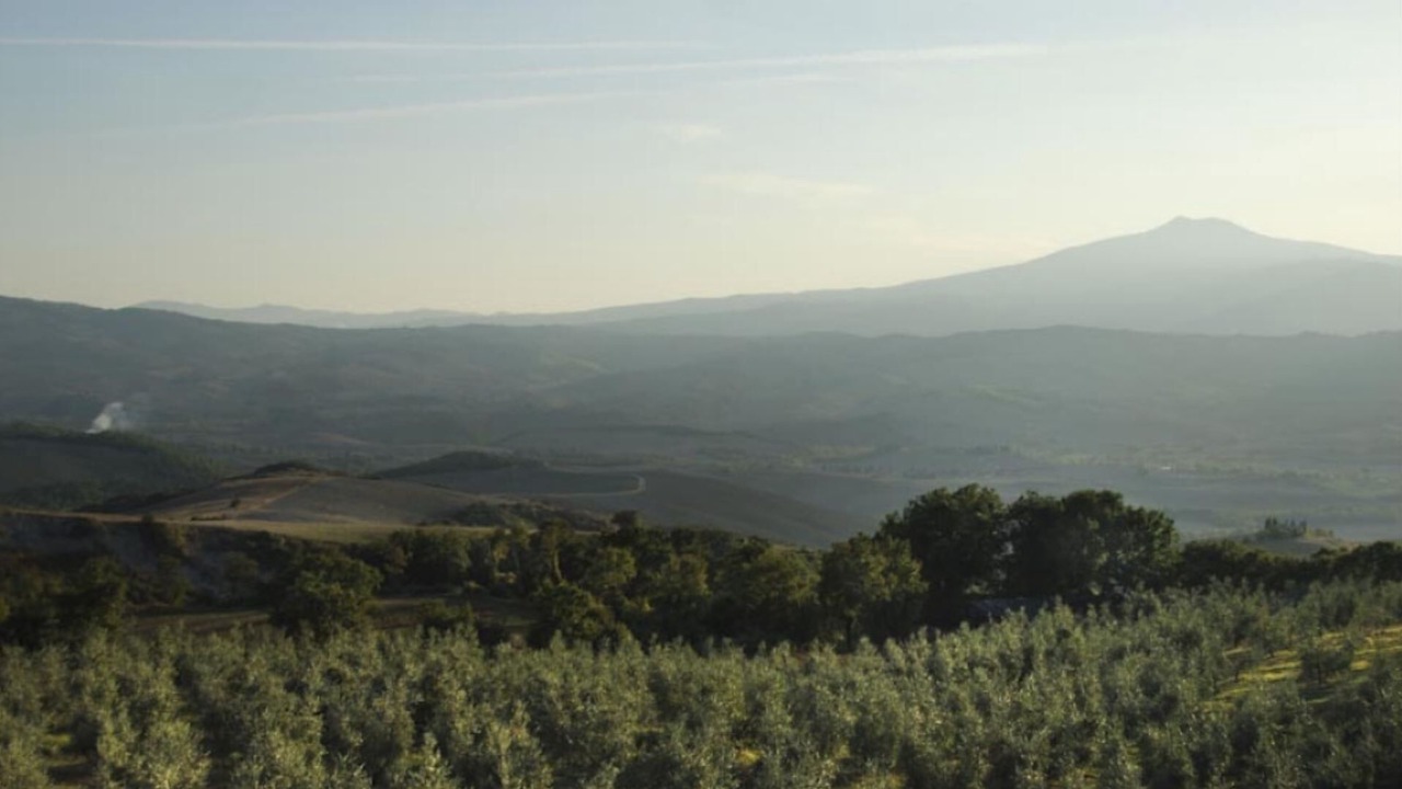 Photo of Others in Sarteano