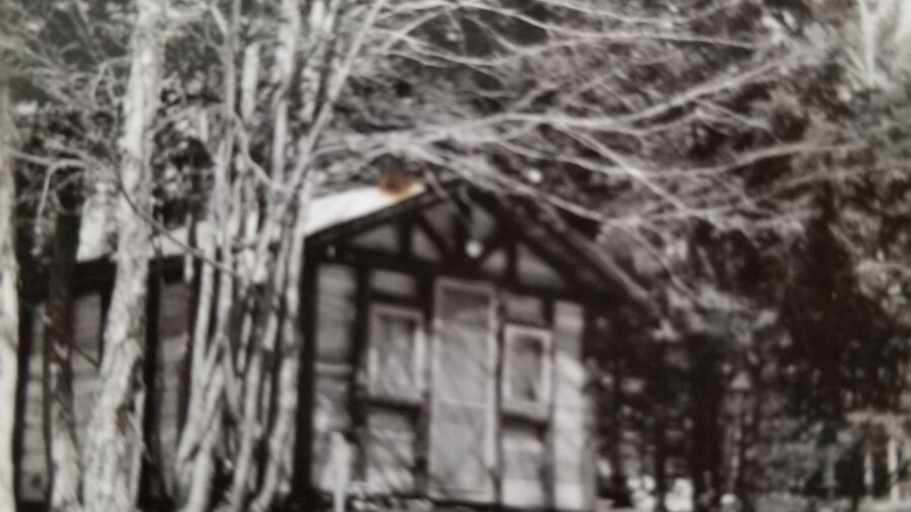 Photo of Others in Pelkie