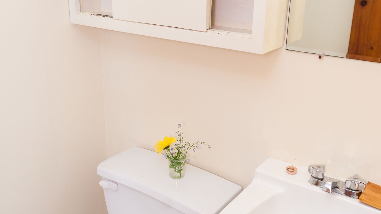 Photo of Bathroom in Pelkie