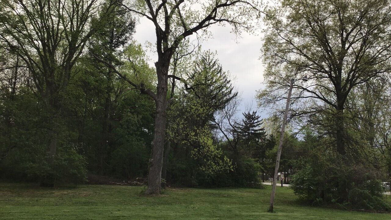 Photo of Outdoor in Toledo