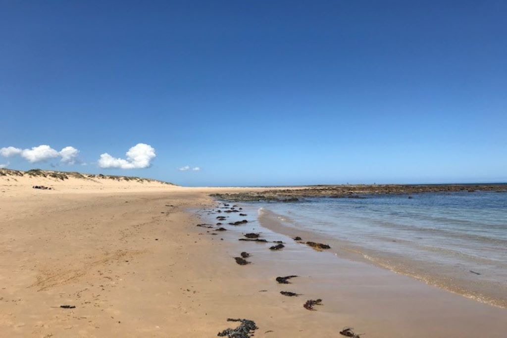Photo of Others in Cape Paterson