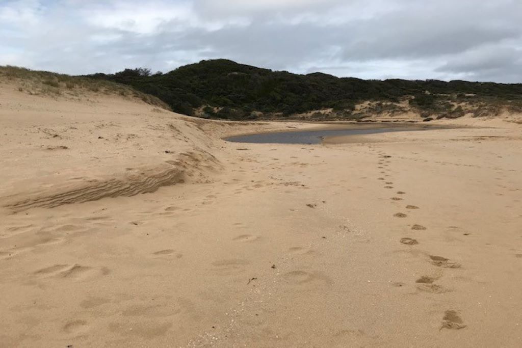 Photo of Others in Cape Paterson