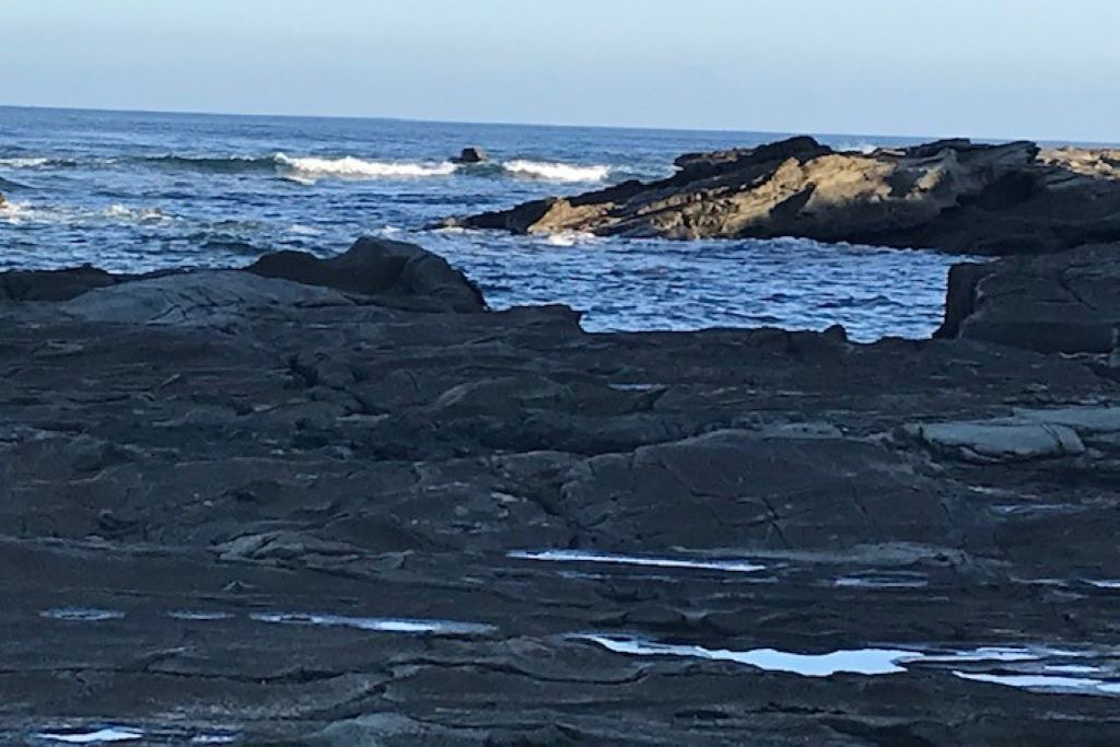 Photo of Others in Cape Paterson