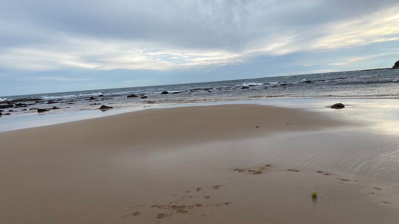 Photo of Others in Cape Paterson