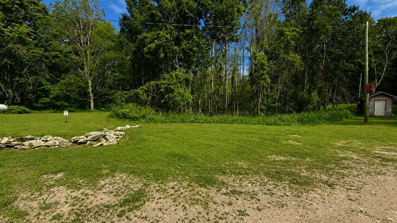 Photo of Others in Drummond Island