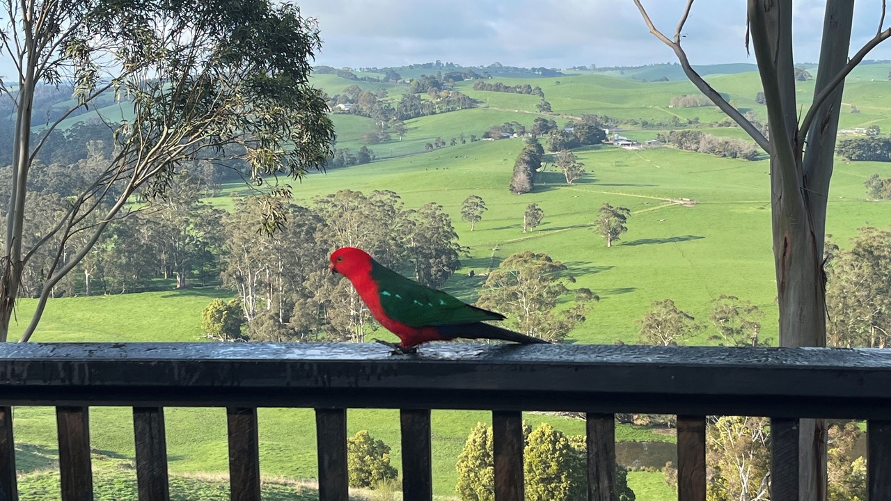 Photo of Outdoor in Poowong