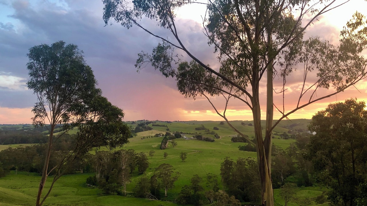 Photo of Outdoor in Poowong