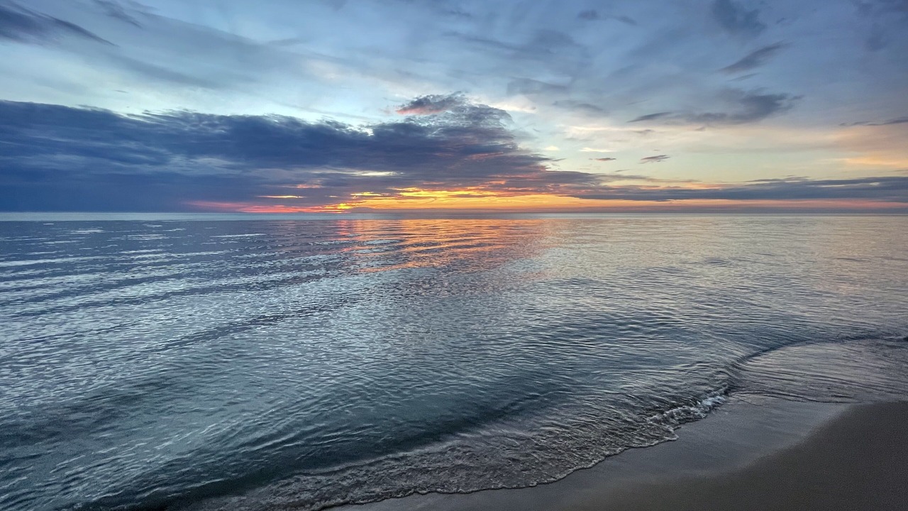 Photo of Others in South Haven