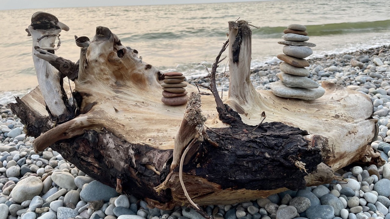 Photo of Others in South Haven