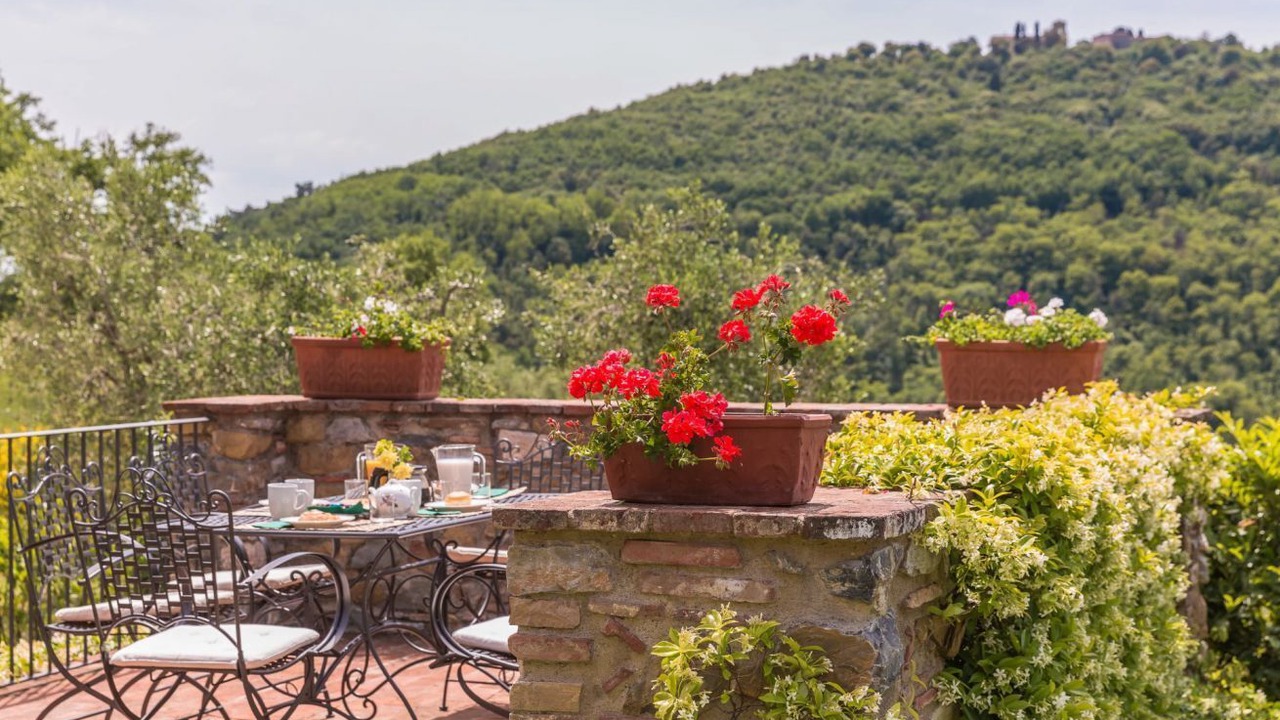 Photo of Outdoor in Monsummano Terme