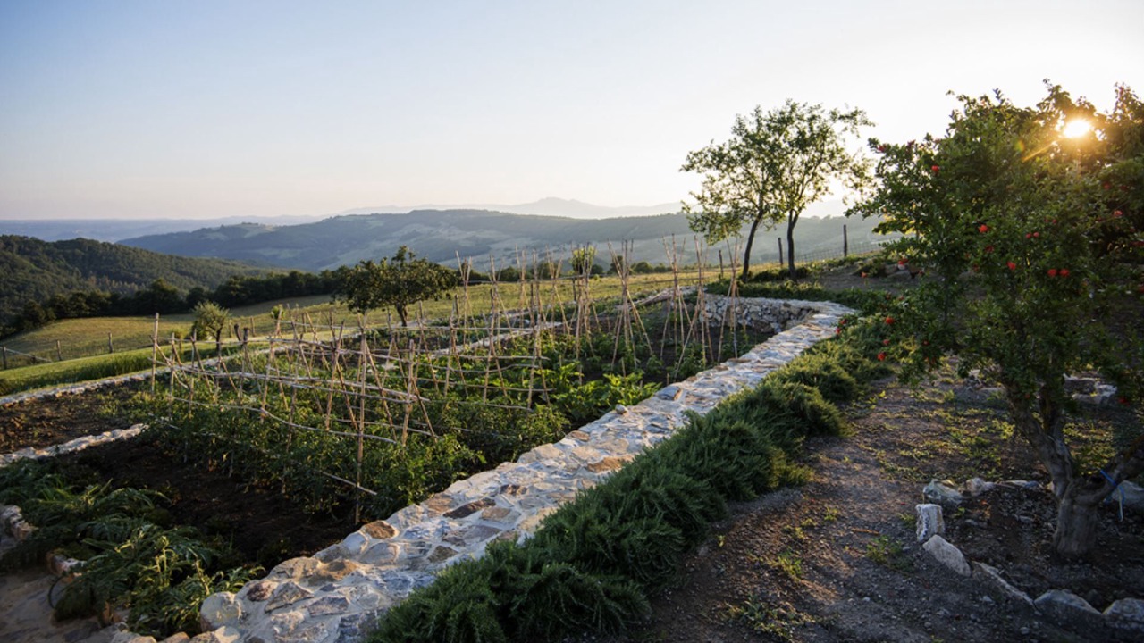 Photo of Outdoor in Trevinano
