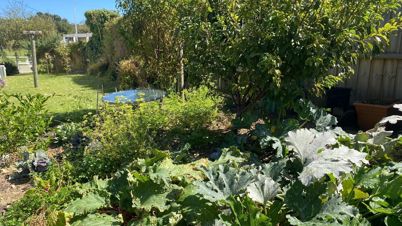 Photo of Outdoor in Wonthaggi