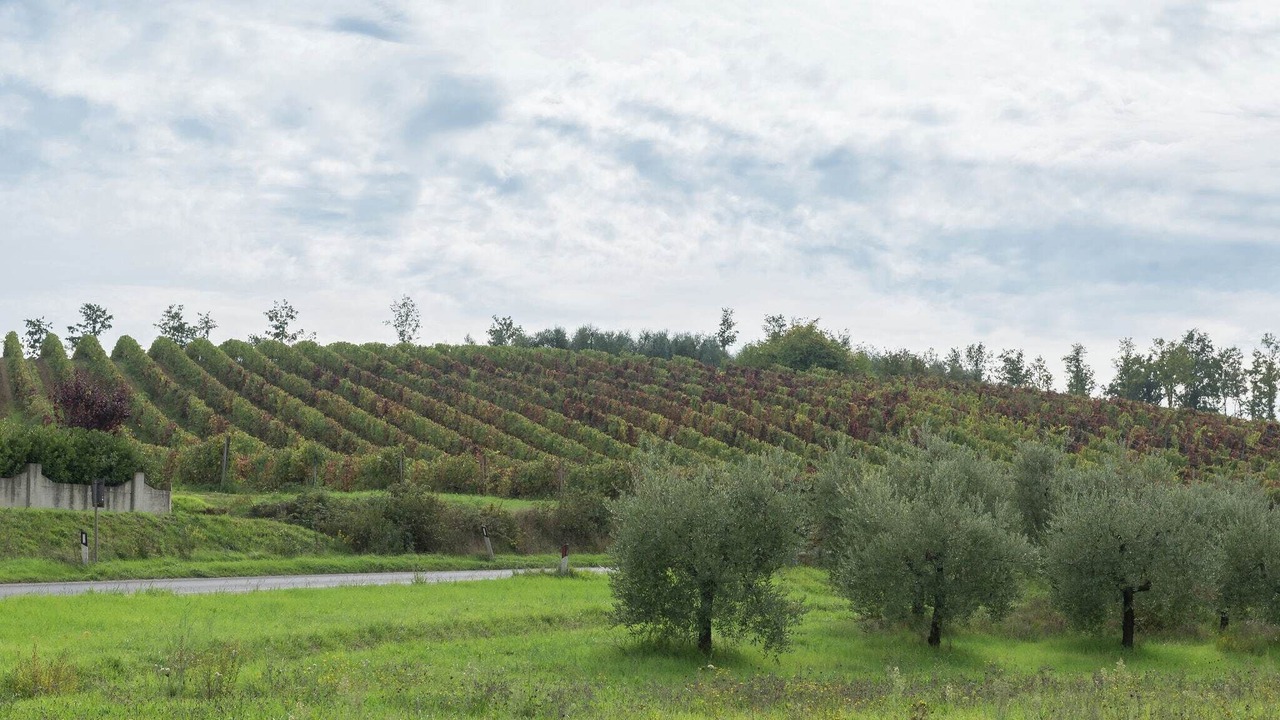 Photo of Outdoor in Stabbia