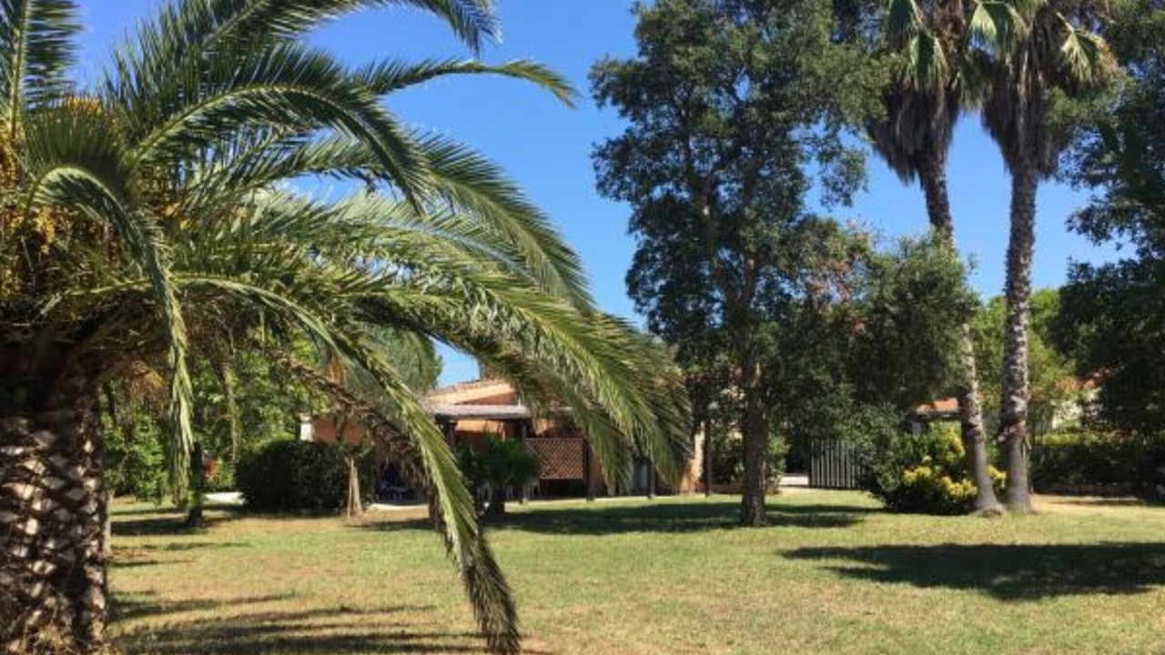 Photo of Outdoor in Capoliveri