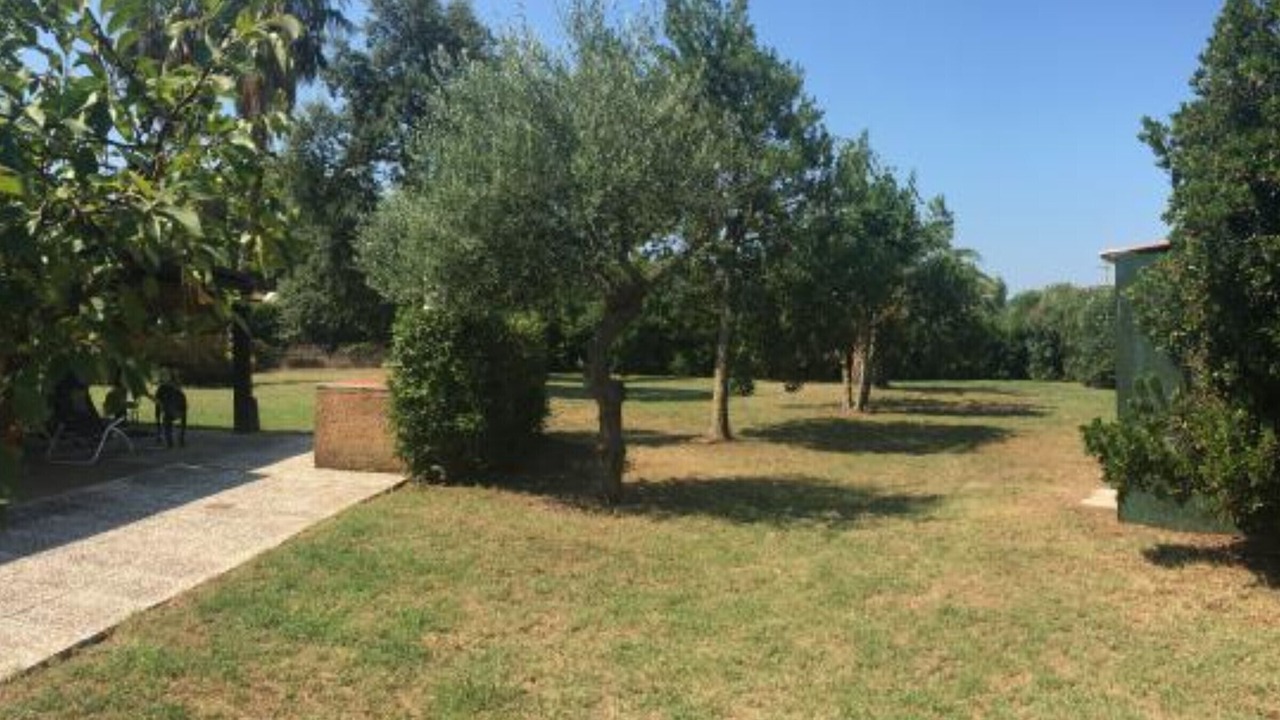 Photo of Outdoor in Capoliveri