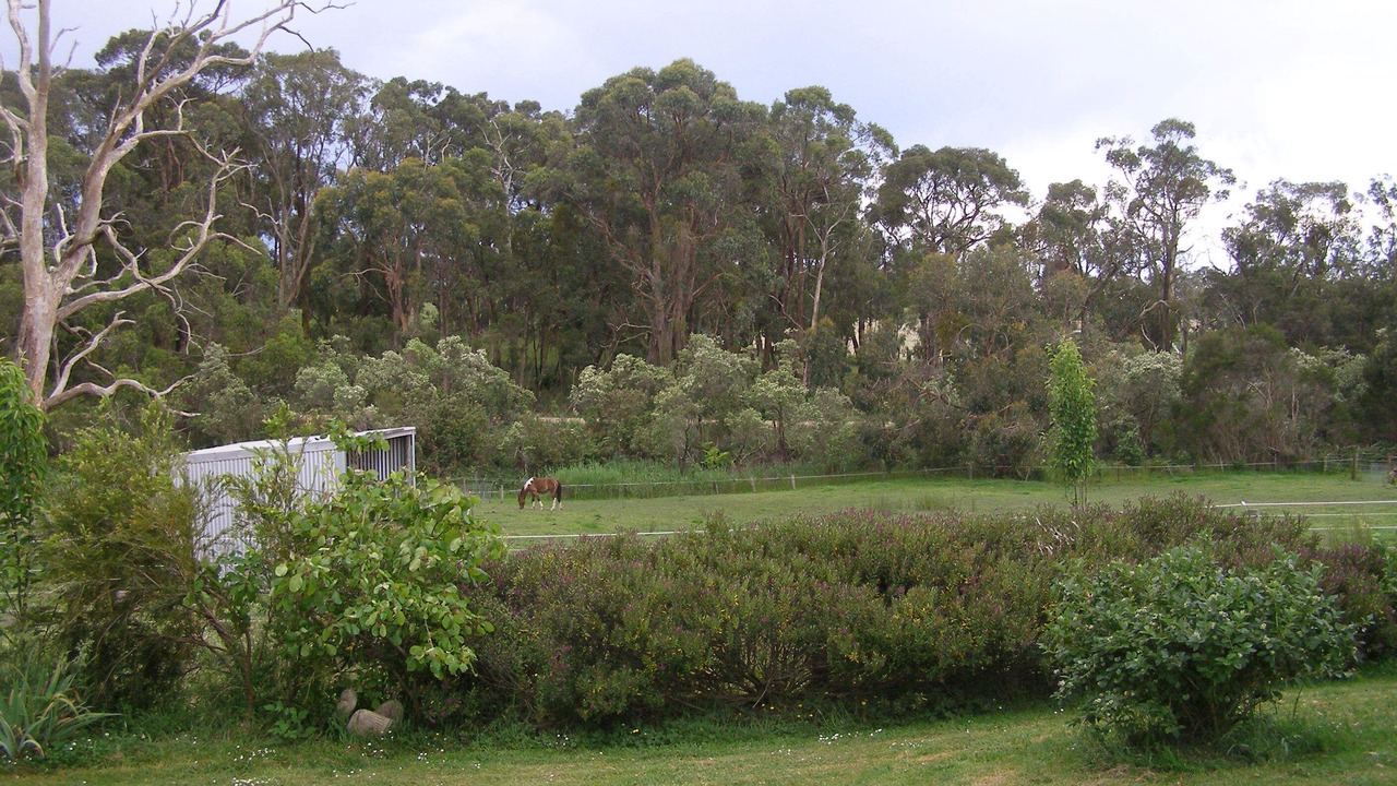Photo of Outdoor in Nyora