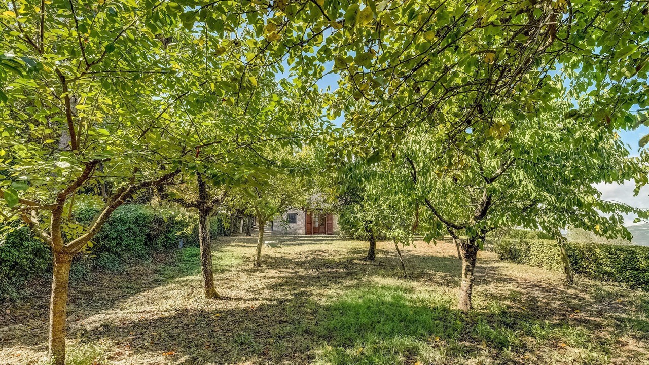 Photo of Outdoor in Celle sul Rigo